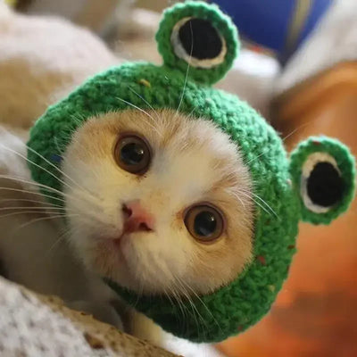 Cute Frog Cat Hat with Bunny Ears for Fun Costumes - Smarsty