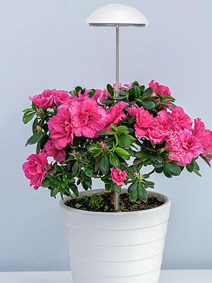 Full Spectrum Grow Lights with Auto On/Off Timer Plant Growing Lamp Height Adjustable for Plants Flowers Greenhouse Hydroponic