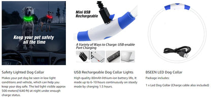 LED USB Dog Collar for Night Safety and Visibility - Smarsty