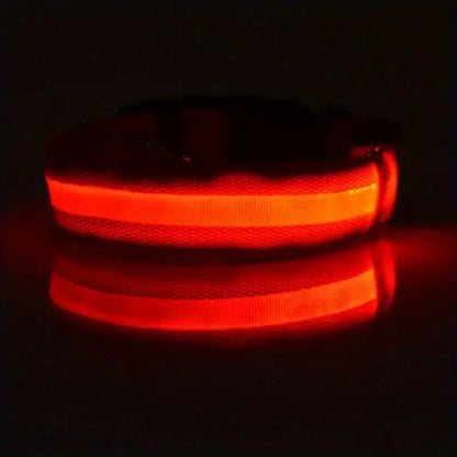 Nylon LED Glow In The Dark Dog Leash - Smarsty