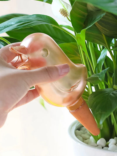 Automatic Plant Watering Bird Drop Irrigation Garden Home Use Percolator Drip Feeder for Potted Plants
