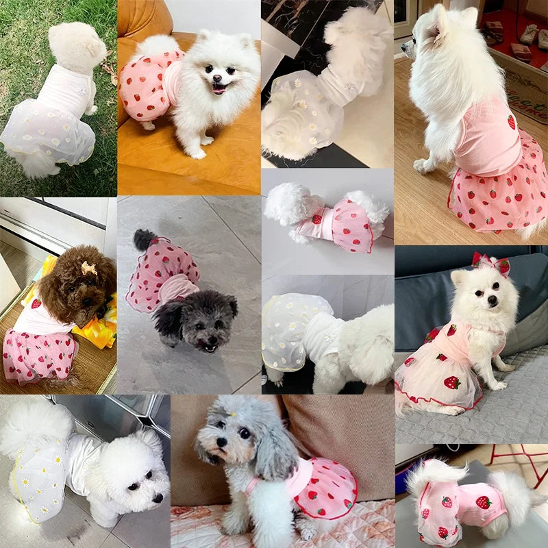 Luxury Strawberry Dog Dress for Spring and Summer - Smarsty