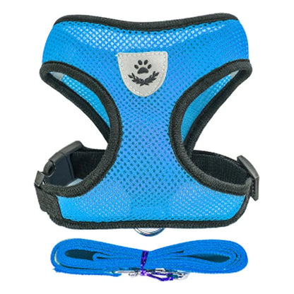 Adjustable Dog Harness and Leash Set for Small Dogs - Smarsty