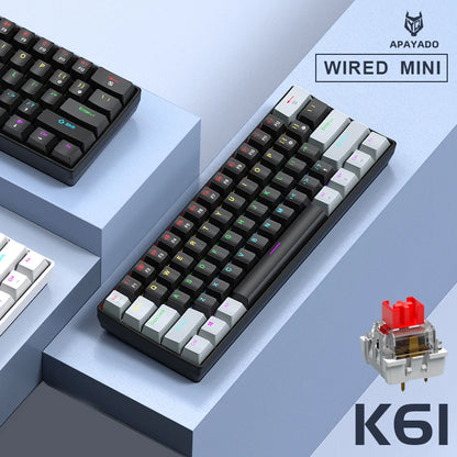 Sixty Percent Mechanical Keyboard With USB Wired Compact