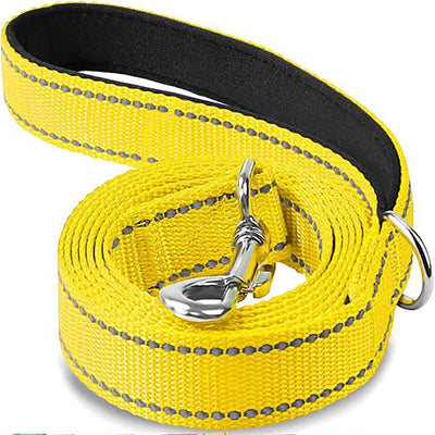 Reflective Dog Harness Leash for Safe Night Walks - Smarsty