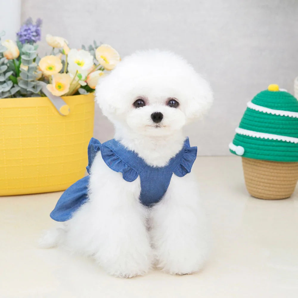 Cute Denim Dress for Small Dogs with Leash Ring - Smarsty