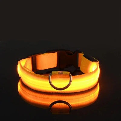 Nylon LED Glow In The Dark Dog Leash - Smarsty