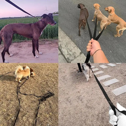Durable Long Nylon Dog Leash for Training - Smarsty