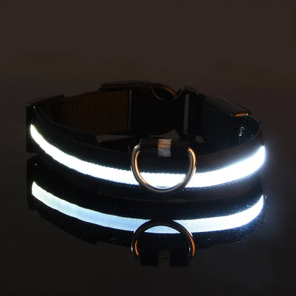 Nylon LED Glow In The Dark Dog Leash - Smarsty