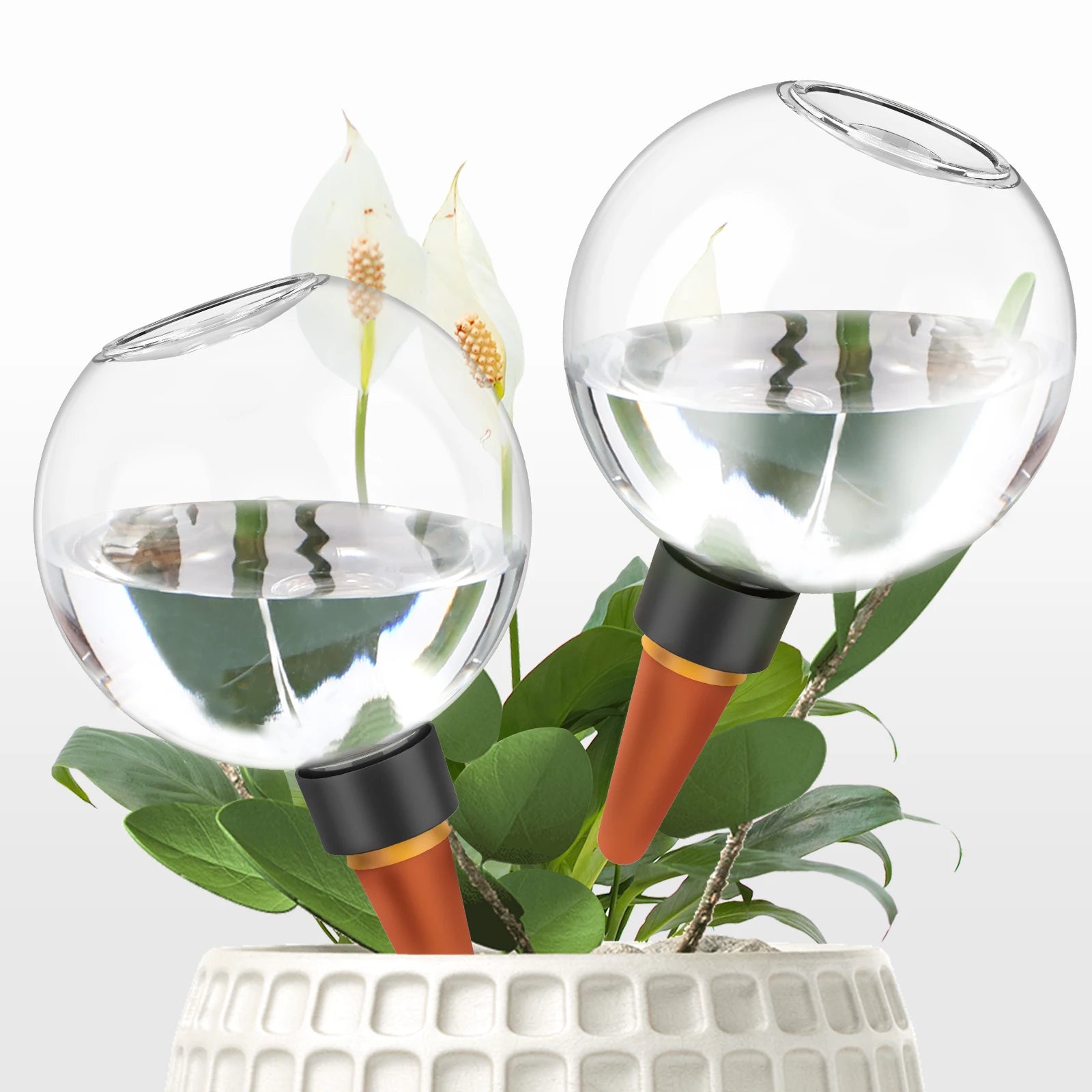 Automatic Self Watering Bulbs for Easy Plant Care - Smarsty