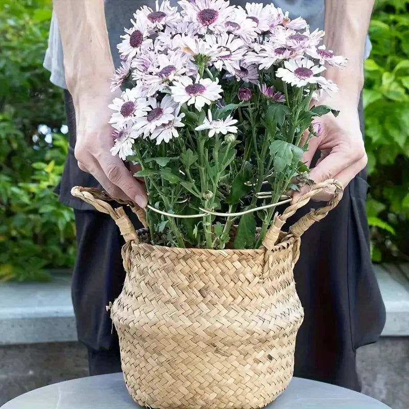 1Pc Large hanging plant stand, iron hooks, suitable for flowerpot decoration, indoor and outdoor use - Smarsty