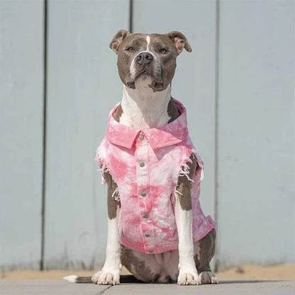 Denim Dog Jacket with Stylish Holes for All Seasons - Smarsty