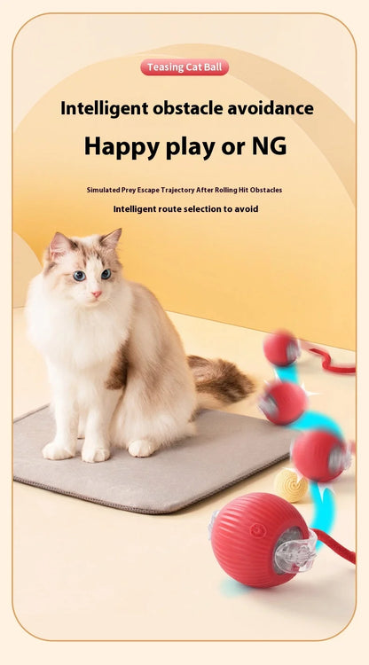 Rechargeable Interactive Cat Toy Smart Rolling Ball - Smarsty