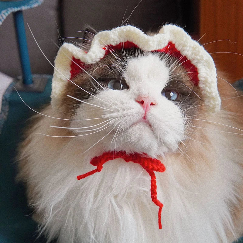 Cute Knitted Cat Hat for Warmth and Fun - Smarsty