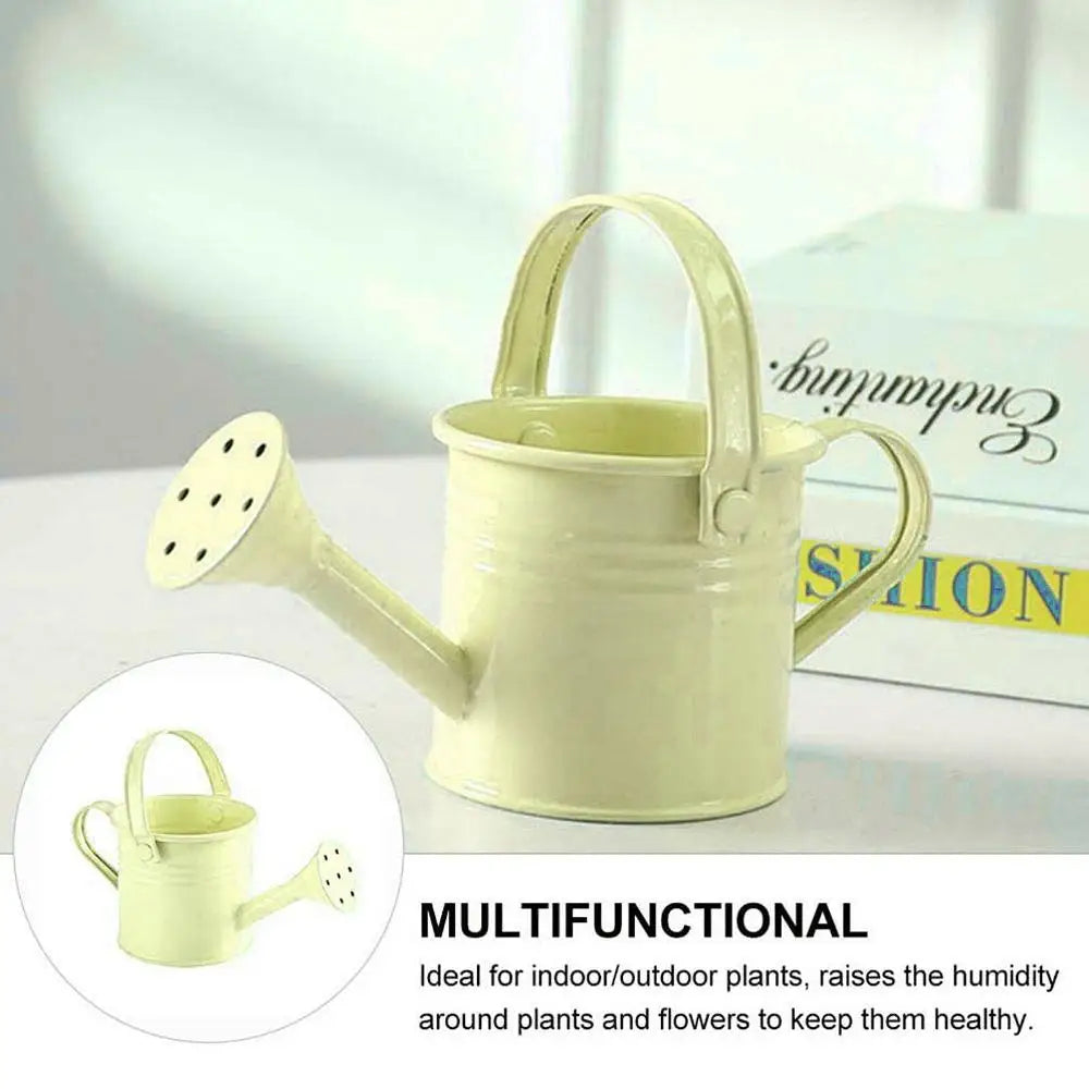 Metal Watering Can with Large Capacity for Garden Use - Smarsty