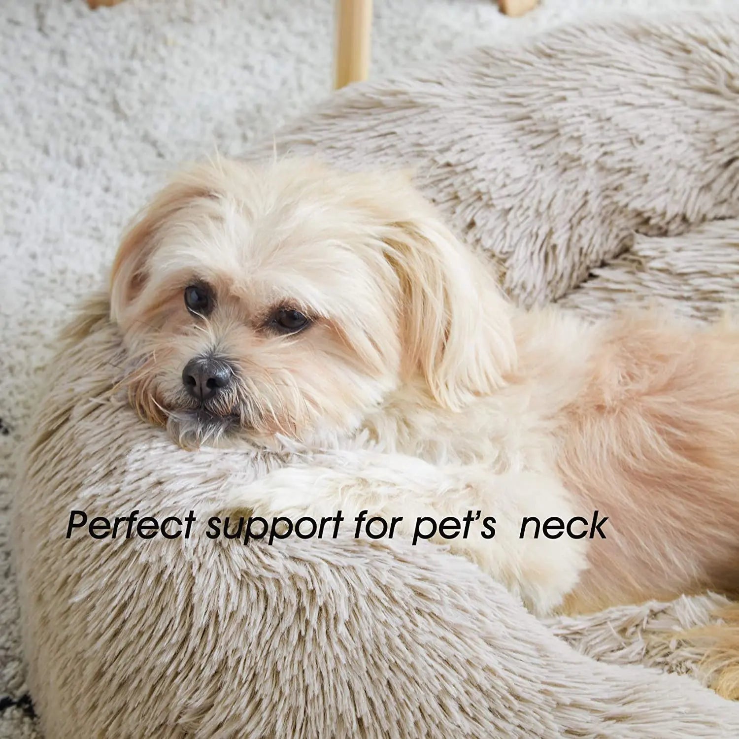 Warm Plush Cat Bed with Soft Cushion for Comfort - Smarsty