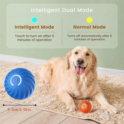 Interactive Smart Dog Toy Ball For Active Play - Smarsty