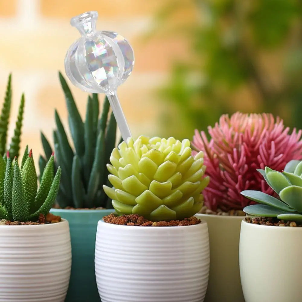 Automatic Cactus Self Watering Planter Cactus Glass Automatic Plant Watering Bulbs Cute Plant Water Feeder Glass Bulbs Indoor