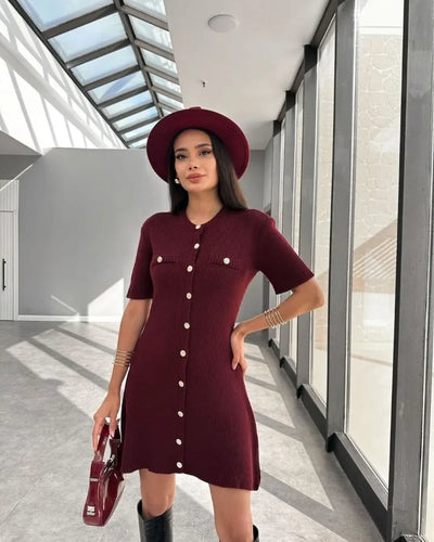 Trendix Elegant Knit Mini Dress Women Street Slim High Waist Short Sleeve Rib Sweater Dresses Vacation Bodycon Knitwear Dress - Smarsty