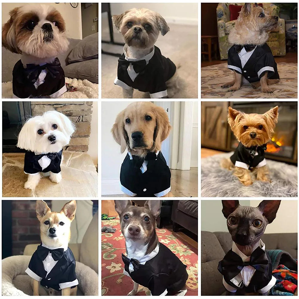 Elegant Dog Tuxedo Suit for Weddings and Parties - Smarsty