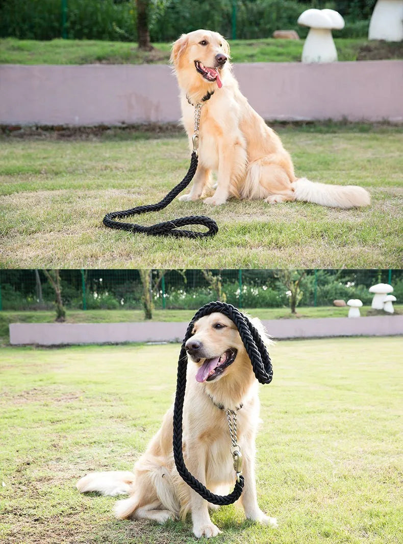 Comfort-Strong 5-Foot Braided Dog Leash for Training - Smarsty