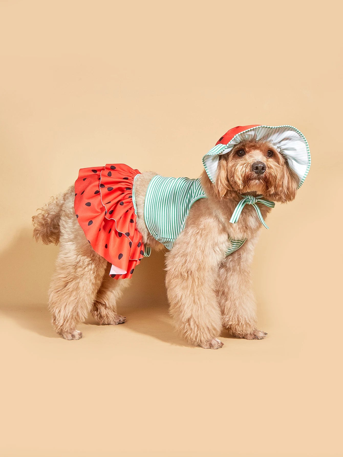 Striped Dog Dress for Small Dogs Summer Comfort - Smarsty