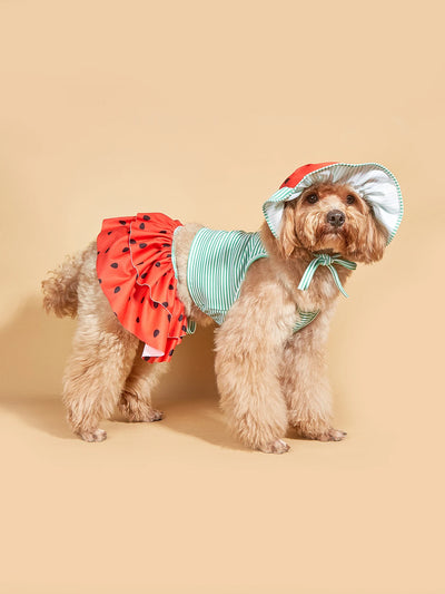Striped Dog Dress for Small Dogs Summer Comfort - Smarsty