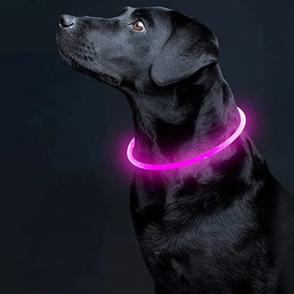 LED USB Dog Collar for Night Safety and Visibility - Smarsty
