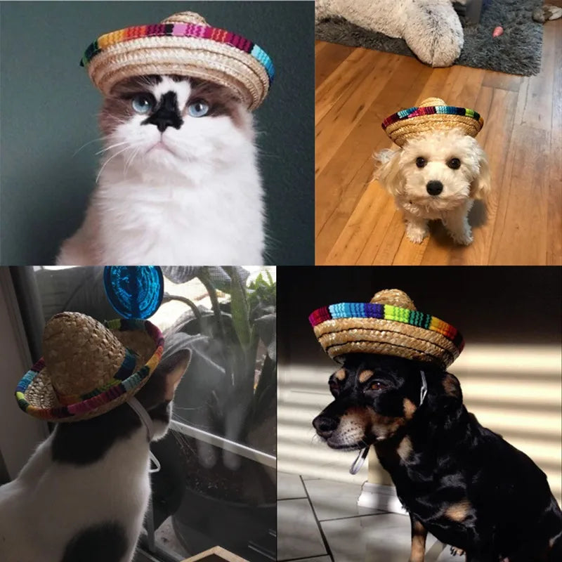 Cute Sun Hat for Dogs and Cats Durable Accessory - Smarsty