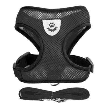 Adjustable Dog Harness and Leash Set for Small Dogs - Smarsty