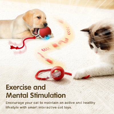 Interactive Cat Toy Ball With Rechargeable Tail - Smarsty