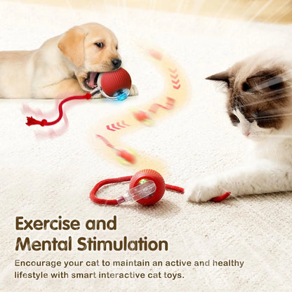Interactive Cat Toy Ball With Rechargeable Tail - Smarsty