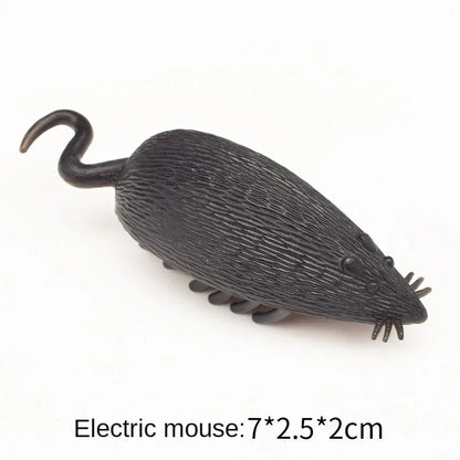 Interactive Electric Bug Cat Toy for Engaging Play - Smarsty