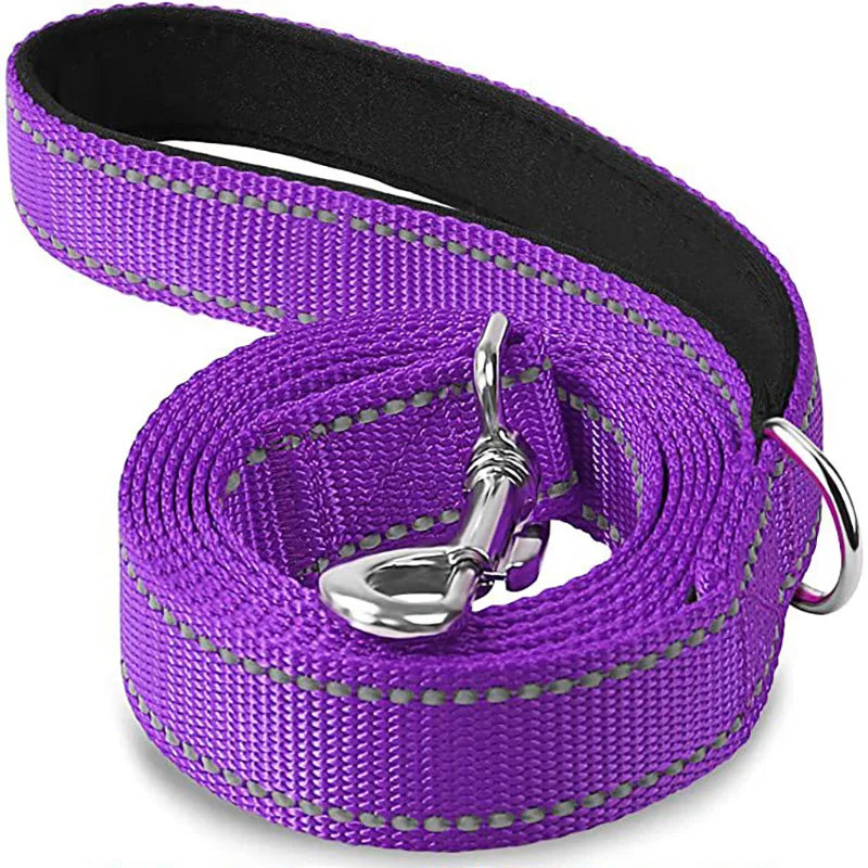 Reflective Dog Harness Leash for Safe Night Walks - Smarsty