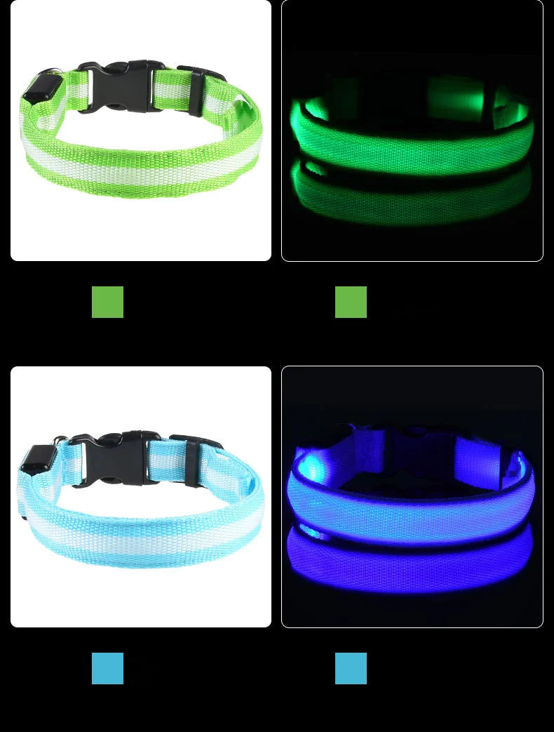 Nylon LED Glow In The Dark Dog Leash - Smarsty