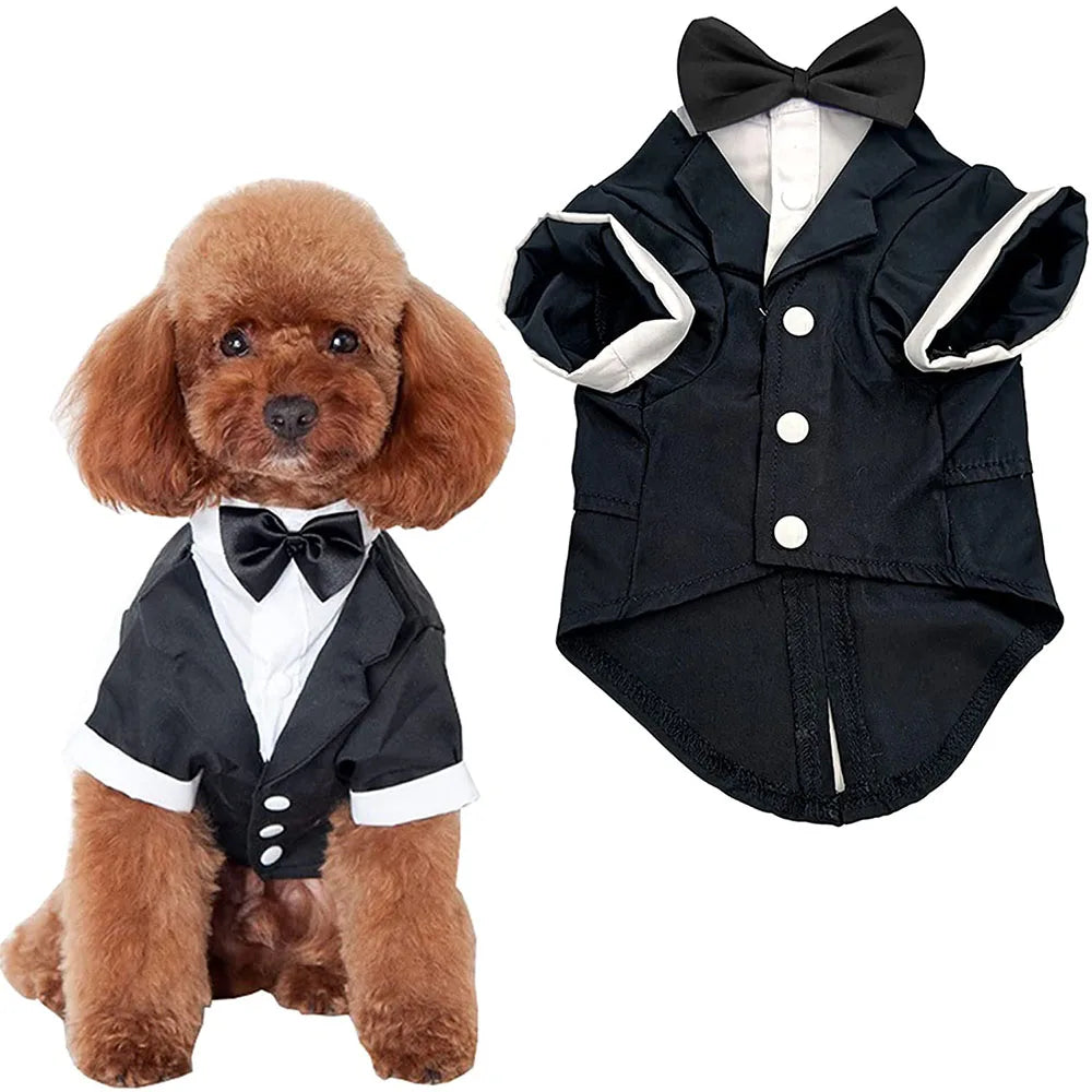 Elegant Dog Tuxedo Suit for Weddings and Parties - Smarsty