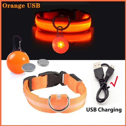 USB Charging Bright LED Dog Collar for Night Safety - Smarsty