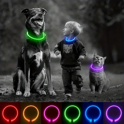 USB Rechargeable LED Dog Collar for Safety - Smarsty