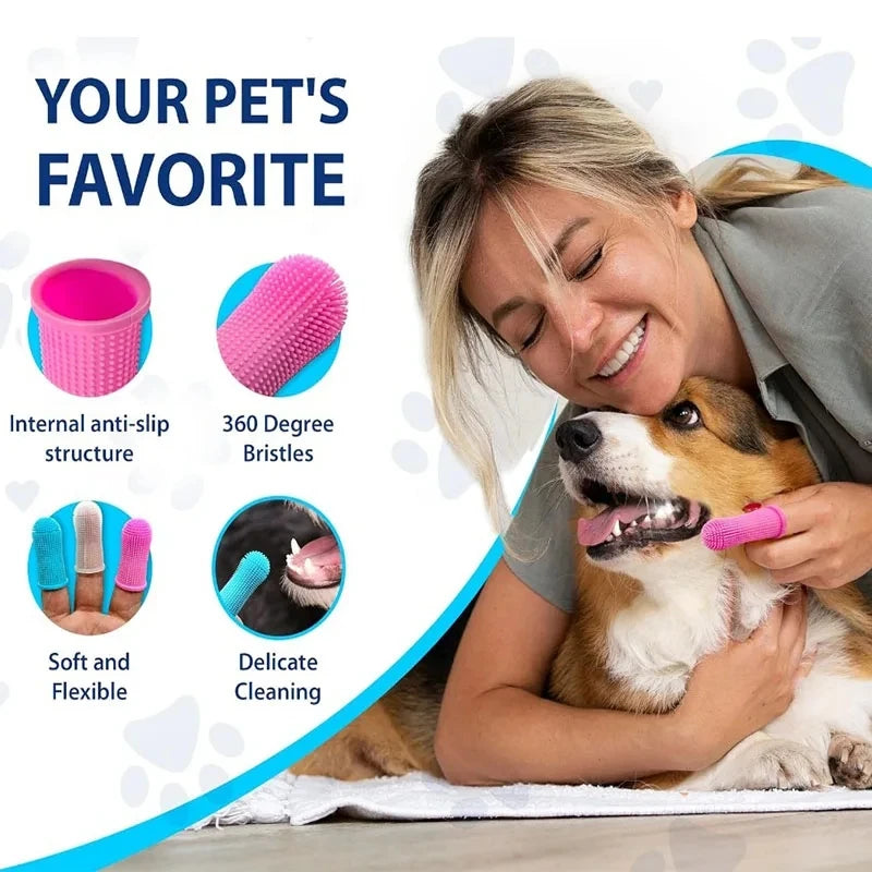 Interactive Cat Toy for Engaging Playtime and Training - Smarsty