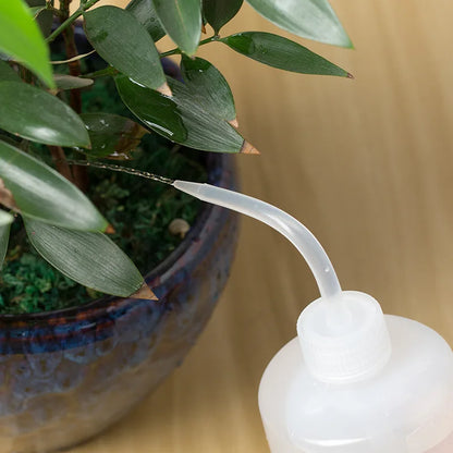 Water Beak Pouring Kettle for Easy Plant Watering - Smarsty