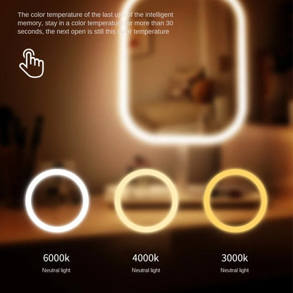 Niche Modern LED Makeup Mirror with Three Color Light - Smarsty