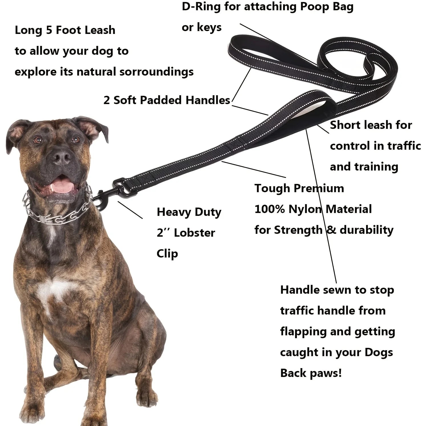 Heavy Duty Dog Leash with Dual Handles for Control - Smarsty