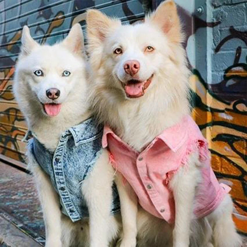 Denim Dog Jacket with Stylish Holes for All Seasons - Smarsty