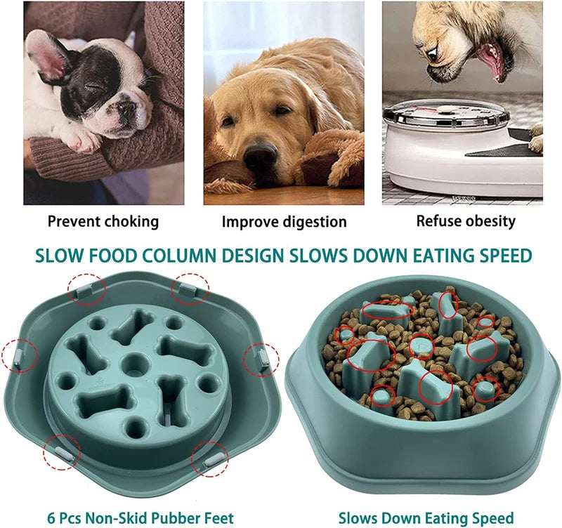 Slow Feeder Dog Bowl for Healthy Eating - Smarsty
