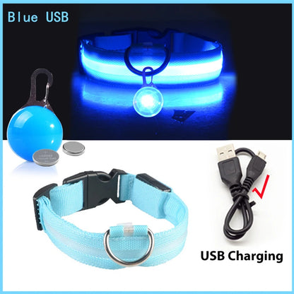 USB Charging Bright LED Dog Collar for Night Safety - Smarsty