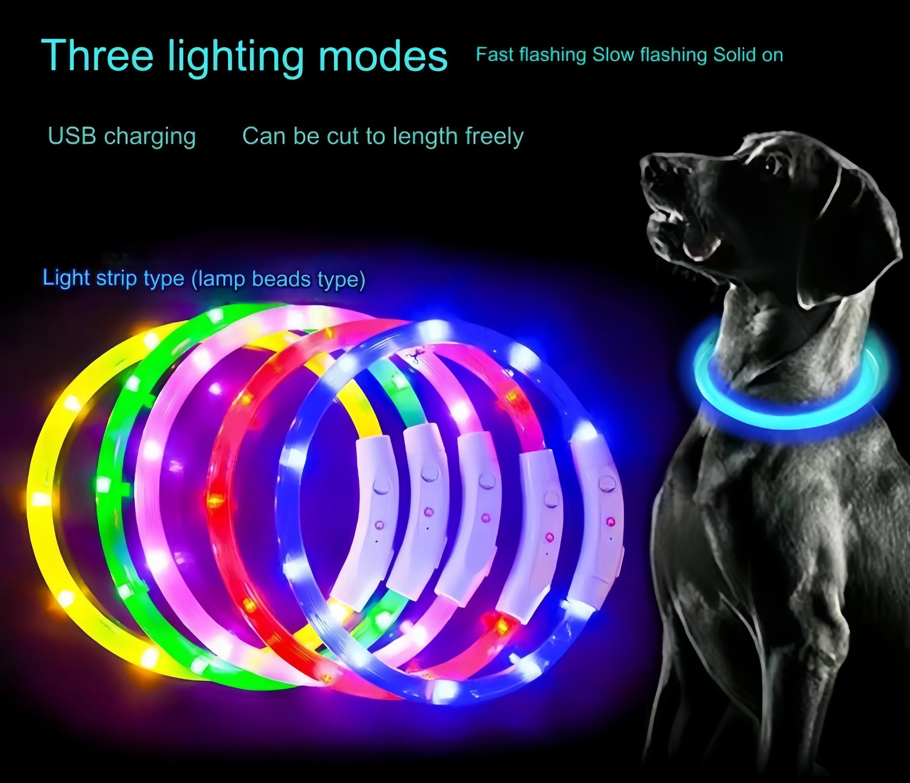 USB Rechargeable LED Dog Collar for Night Safety - Smarsty