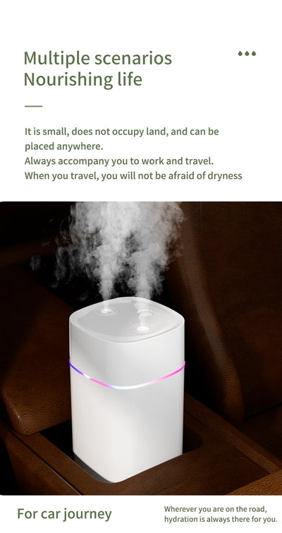 USB Essential Oil Humidifier with Double Spray Mist - Smarsty