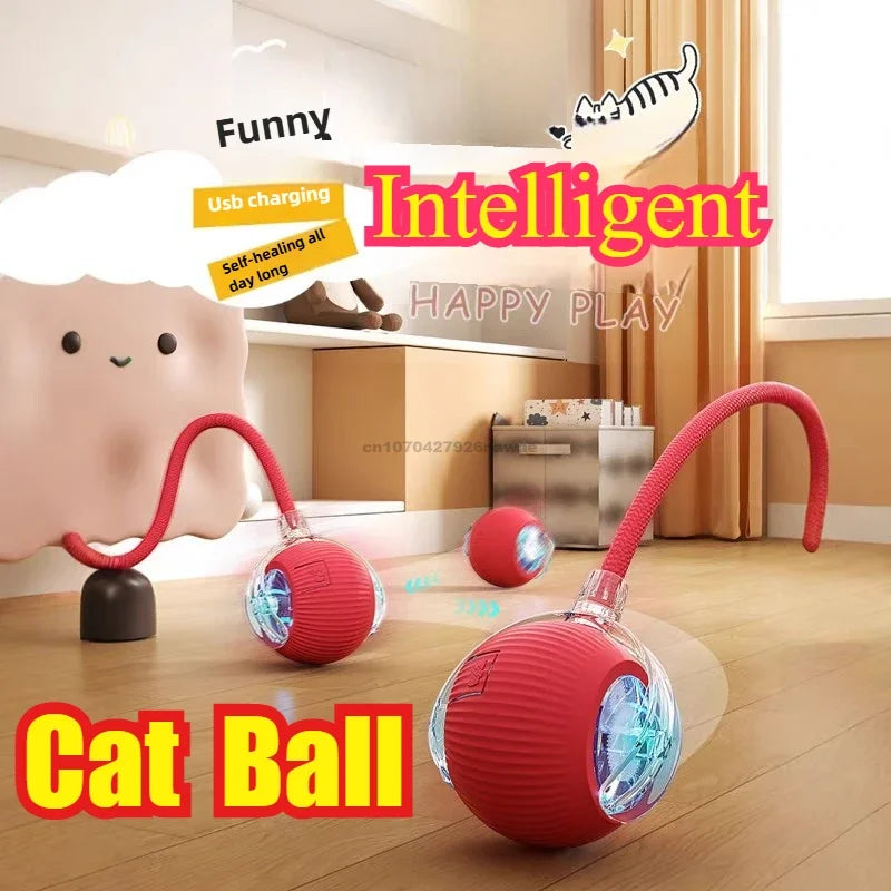 Automatic Rolling Cat Ball Toy with Rechargeable Faux Tail - Smarsty