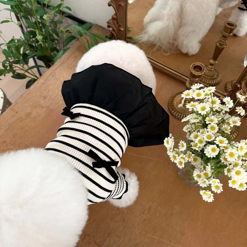 Luxury Dog Dress With Bow Lace For Summer - Smarsty