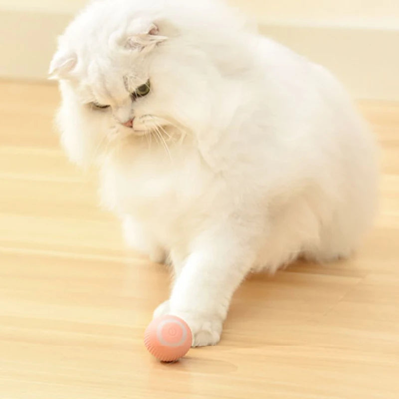 Interactive Rechargeable Cat Ball Toy for Engaging Play - Smarsty